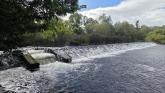 Debate emerges over plan to partially remove historic weir in Tipperary river