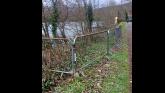 Barrier installed to protect nesting swans at lake in Tipperary