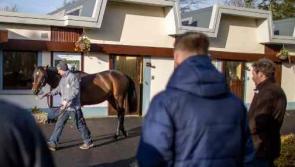 Tipperary farms will be included on the Irish Stallion Trail in January