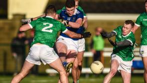 IN PICTURES: See action shots from Tipperary's tough clash with Limerick last weekend
