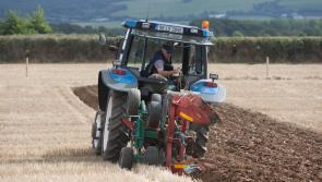 The amazing story of how Offaly was chosen as the location for last year's National Ploughing Championships 