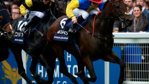 Do not miss the award-winning documentary on Tipperary sprint star Gordon Lord Byron