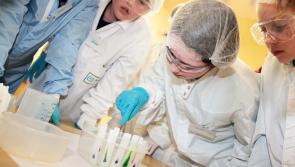 21 Tipperary winners of Science Foundation Ireland Discover Science and Maths Awards Announced