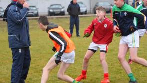 Munster GAA Council increases return on investment report reveals