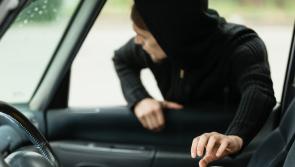 Laptop and handbag stolen from car in county Tipperary village 