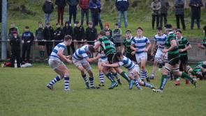 Storming finish sees Rockwell College over the line in Bowen Shield final