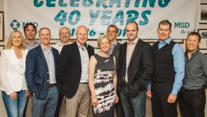 MSD celebrates 40 years in Ballydine, Co. Tipperary