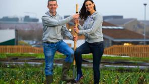 Last call for Tipp groups to apply to 'Get Ireland Growing'  fund