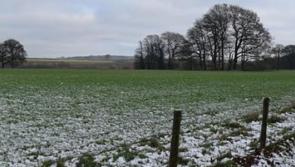 WARNING: Cold spell to continue in Tipperary for most of the week ahead, says forecaster