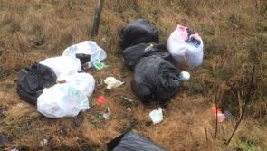 Up to 10 bags of rubbish are dumped every weekend along the old N7 road in Tipperary