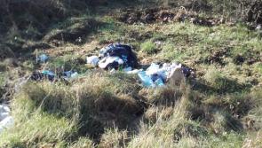 Litter still a major problem for one Tipperary village but the work goes on unabated