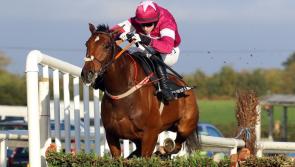 THE PUNTER'S EYE: 'Gangster' could steal the show at Naas on Sunday