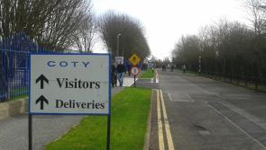 State agencies tasked with job creation meet in Nenagh