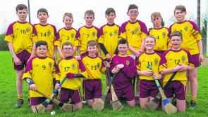 First Garda Hurling Blitz for the Clonmel District is a great success