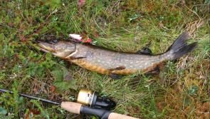 Young Tipperary artists urged to design angling conservation poster