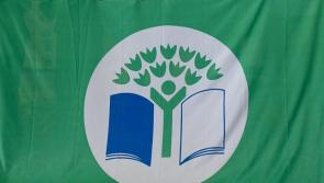 Tipperary schools compete to win Green Schools Big Travel Challenge 