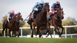 THE PUNTER'S EYE: Darley Irish Oaks Horse Racing Tips