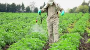 Pesticide exceedances - detections continue in Co. Tipperary