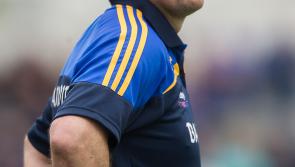 Tipperary hurlers are alive and kicking as the All-Ireland Championship quarter-finals beckon