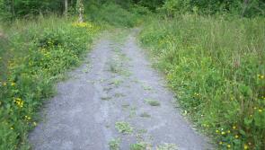 A hidden gem for Tipperary explorers 