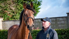 Tipperary's Coolmore Stud will feature in Irish Stallion Trail in January