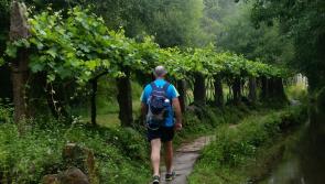 Siul Eile Walk in Kilsheelan this weekend
