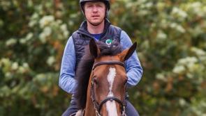 Tipperary's Greg Broderick scores second win at the Dublin Horse Show