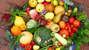 Harvest Festival to serve up a tasty festival of family fun!