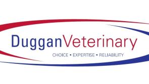Duggan Veterinary, Holycross