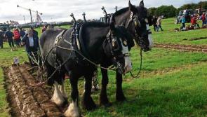The Tipperary Star is going to the 2017 Ploughing Championships