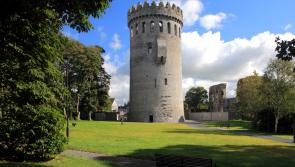 Nenagh’s “volunteer spirit” praised at Tidy Towns 2017
