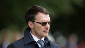 O'Brien's to the fore in Melbourne Cup as Coolmore claims second spot behind Joseph