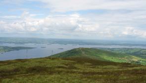 Tipperary man found after getting lost while searching for missing livestock