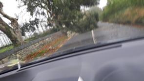 Ophelia claims its first victim in Tipperary as man in early thirties  dies after chainsaw accident 