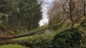 Storm Ophelia update from Tipperary County Council 