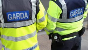 Gardai appeal for information after Roscrea burglary