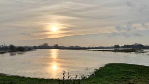Tipperary on flood alert as heavy rain set to continue
