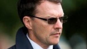 Tipperary-based horse trainer Aidan O'Brien equals world record