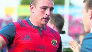 Tipperary&rsquo;s Tommy O&rsquo;Donnell notches 150th cap for Munster