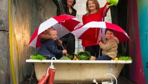 GIY and Energia want to ‘Get Ireland Growing' with €75,000 fund