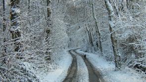 Snow and severe frost to hit Tipperary as Status Yellow Weather warning issued