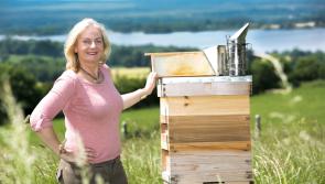 Tipperary beekeeper Ailbhe Gerrard set to have craft fair buzzing