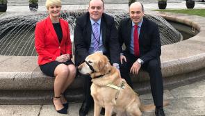 Good news for Tipperary Asthmatics with nationwide smoky coal ban