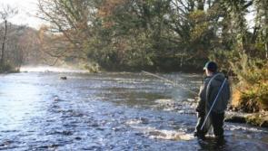 Tipperary angling clubs invited to apply for Inland Fisheries sponsorship programme