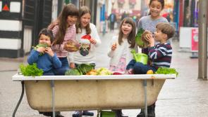 GIY and Energia  ‘Get Ireland Growing’ €75,000 funding pool