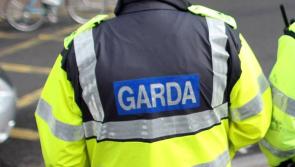 Motorists warned after fallen tree blocks Thurles roadway
