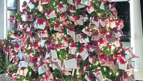Templemore Memorial Tree