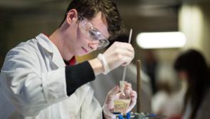 UL offers practical solution to Leaving Certificate Biology Students