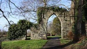 Templemore Park Run