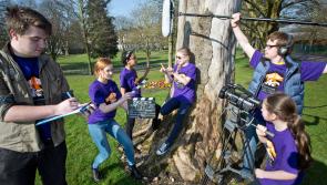 Fresh Film Festival: Is Ireland's Young Filmmaker of the year from Tipperary? 